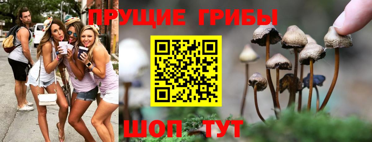 купить наркотик  Галлюциногенные грибы мицелий  Вход с VPN  Мурманск 
